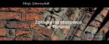 Grafika z tekstem:  Zakupy na starówce w Toruniu  