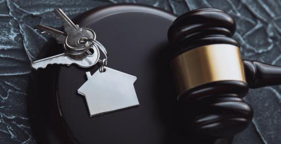 Wizualizacja przetargu