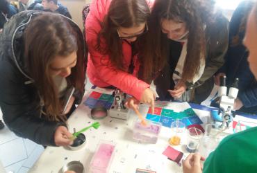 IX Toruńskie Dni Kariery 7